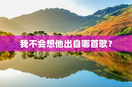 我不会想他出自哪首歌？