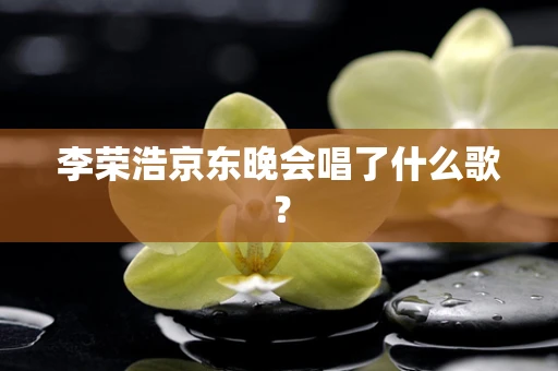 李荣浩京东晚会唱了什么歌？