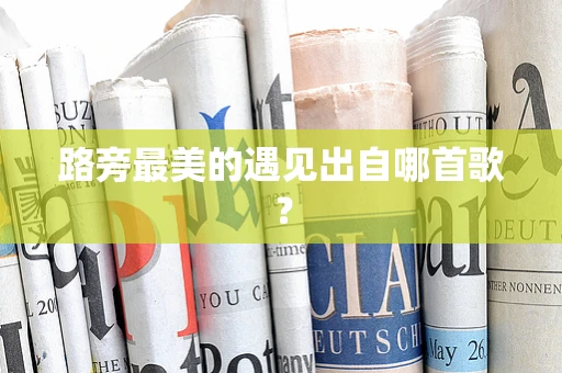 路旁最美的遇见出自哪首歌？