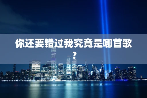 你还要错过我究竟是哪首歌？