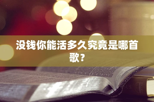 没钱你能活多久究竟是哪首歌？