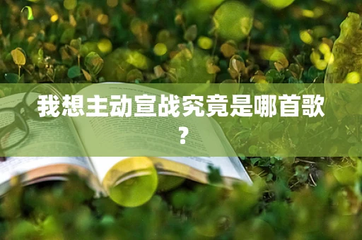 我想主动宣战究竟是哪首歌？