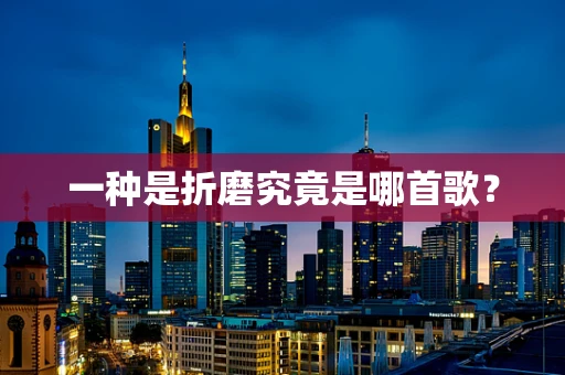 一种是折磨究竟是哪首歌？
