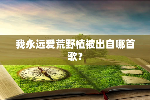 我永远爱荒野植被出自哪首歌？
