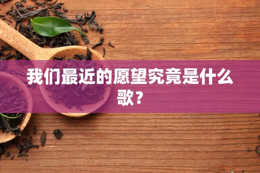 我们最近的愿望究竟是什么歌？