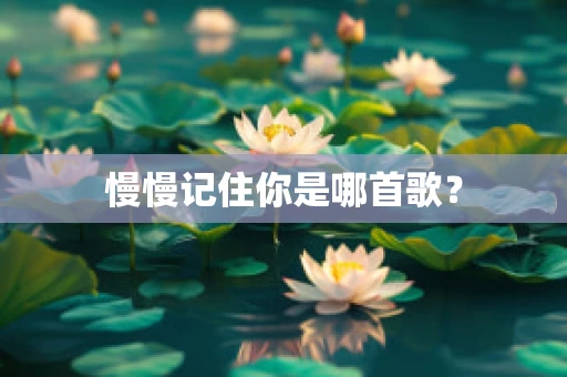 慢慢记住你是哪首歌？