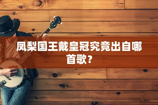 凤梨国王戴皇冠究竟出自哪首歌？