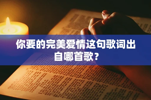 你要的完美爱情这句歌词出自哪首歌？