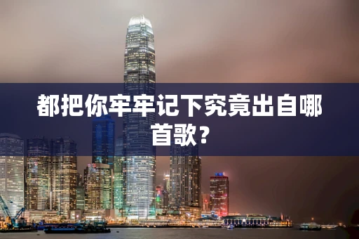 都把你牢牢记下究竟出自哪首歌？