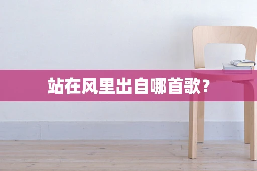 站在风里出自哪首歌？