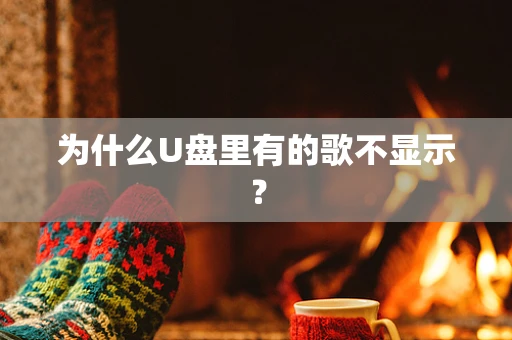 为什么U盘里有的歌不显示？