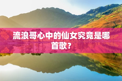流浪哥心中的仙女究竟是哪首歌？