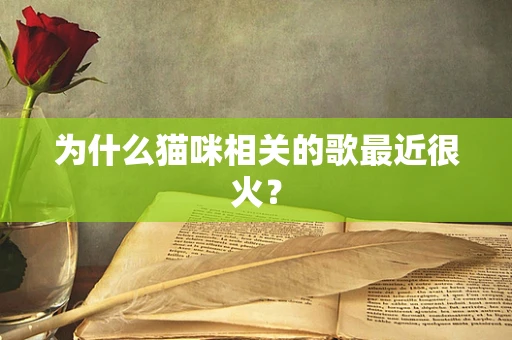 为什么猫咪相关的歌最近很火？