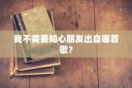 我不需要知心朋友出自哪首歌？