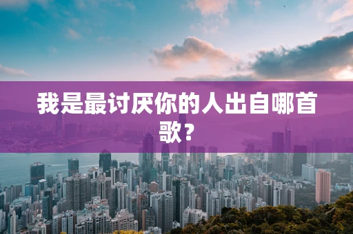 我是最讨厌你的人出自哪首歌？