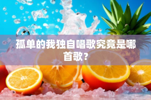 孤单的我独自唱歌究竟是哪首歌？