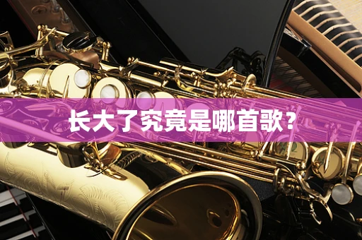 长大了究竟是哪首歌？