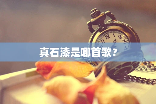 真石漆是哪首歌？