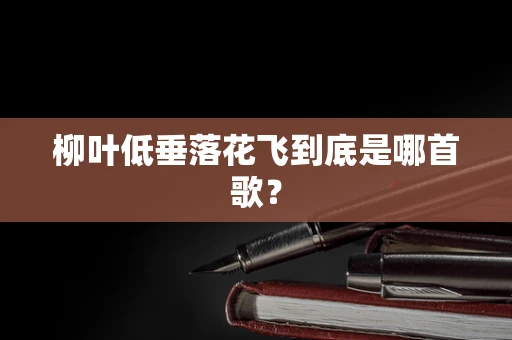 柳叶低垂落花飞到底是哪首歌？