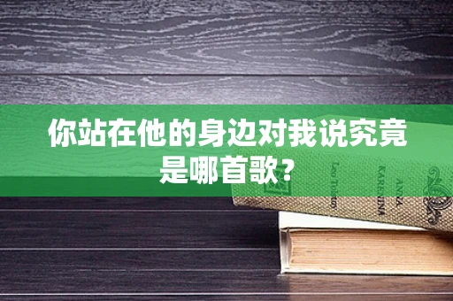 你站在他的身边对我说究竟是哪首歌？