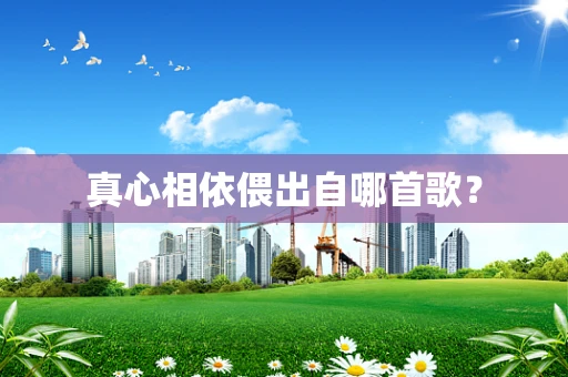 真心相依偎出自哪首歌？