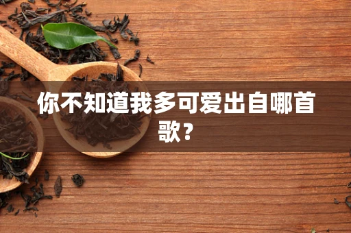 你不知道我多可爱出自哪首歌？