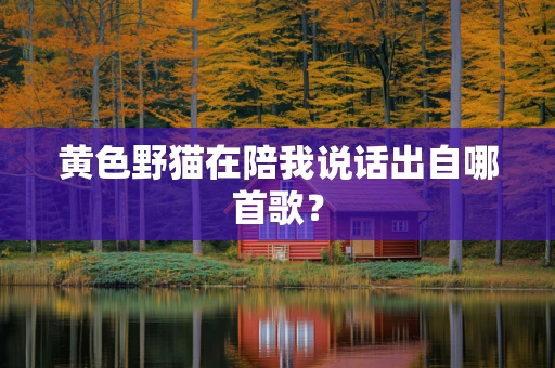 黄色野猫在陪我说话出自哪首歌？