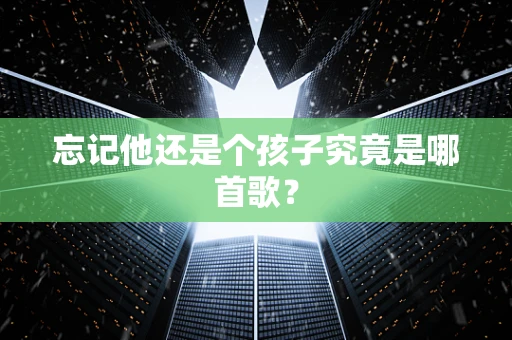 忘记他还是个孩子究竟是哪首歌？