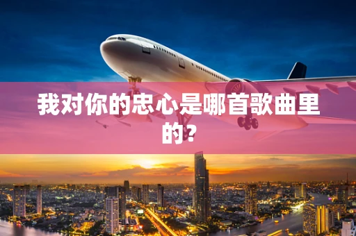 我对你的忠心是哪首歌曲里的？