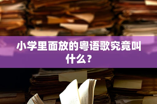 小学里面放的粤语歌究竟叫什么？
