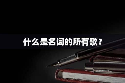 什么是名词的所有歌？