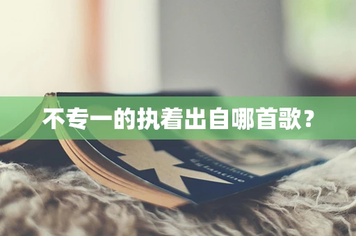 不专一的执着出自哪首歌？