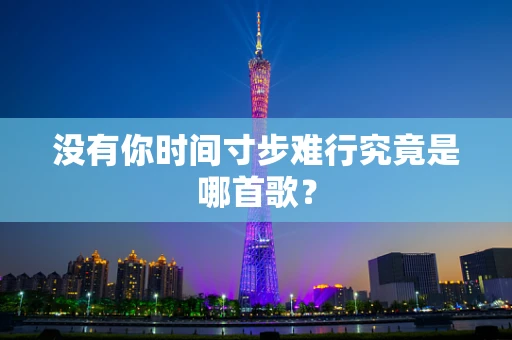 没有你时间寸步难行究竟是哪首歌？