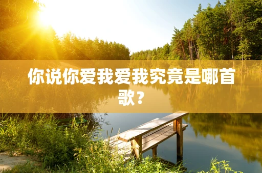 你说你爱我爱我究竟是哪首歌？