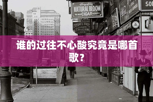 谁的过往不心酸究竟是哪首歌？