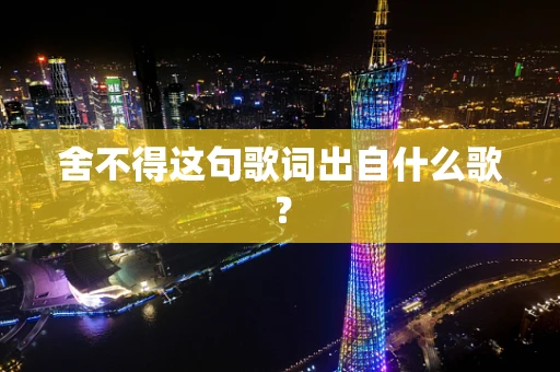 舍不得这句歌词出自什么歌？