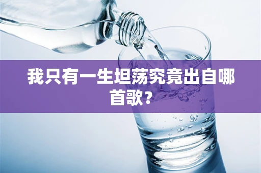 我只有一生坦荡究竟出自哪首歌？