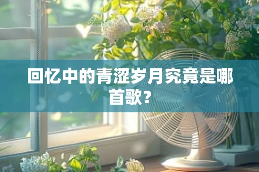回忆中的青涩岁月究竟是哪首歌？