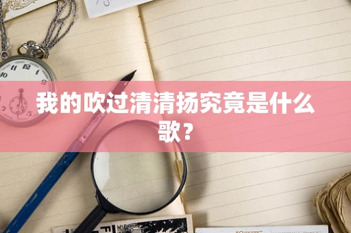 我的吹过清清扬究竟是什么歌？
