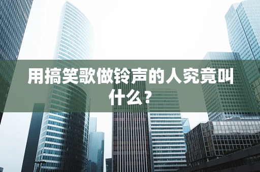 用搞笑歌做铃声的人究竟叫什么？