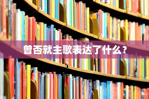 曾否就主歌表达了什么？
