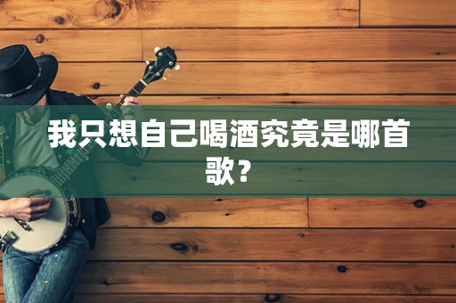 我只想自己喝酒究竟是哪首歌？