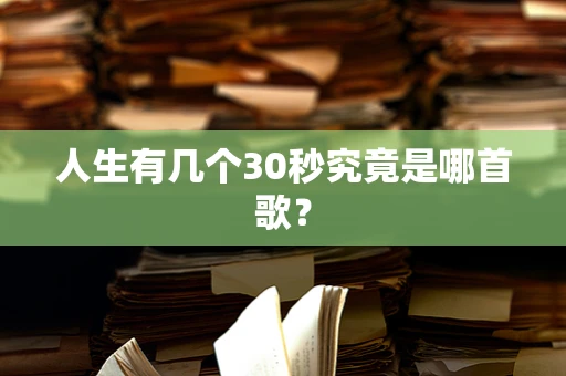 人生有几个30秒究竟是哪首歌？