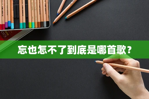 忘也怎不了到底是哪首歌？