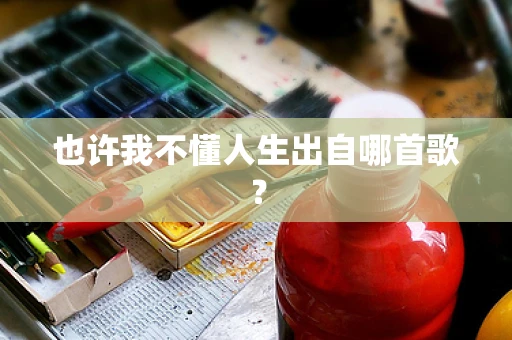 也许我不懂人生出自哪首歌？