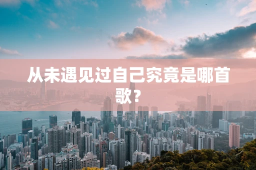 从未遇见过自己究竟是哪首歌？