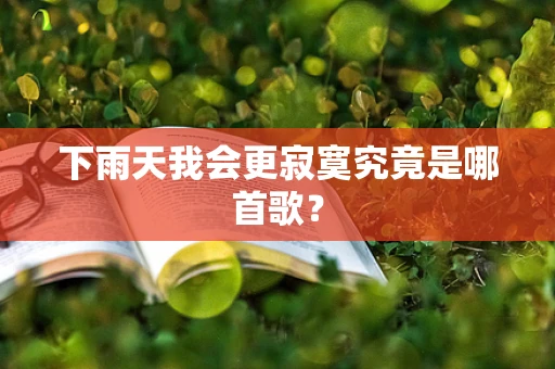 下雨天我会更寂寞究竟是哪首歌？