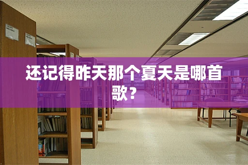 还记得昨天那个夏天是哪首歌？