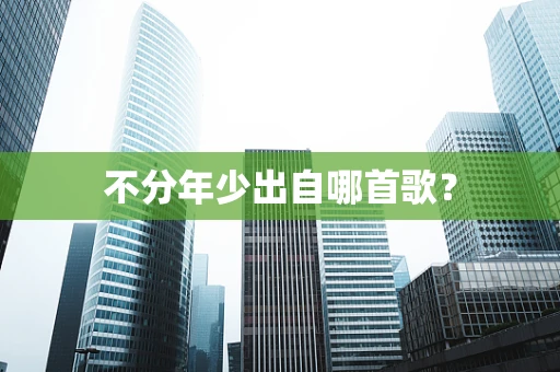 不分年少出自哪首歌？