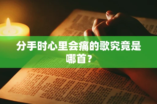 分手时心里会痛的歌究竟是哪首？
